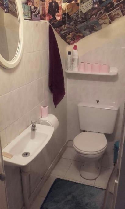 Habitación Compartida Mixta de 6 camas