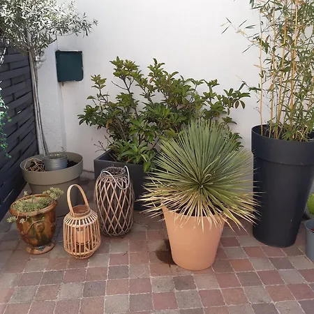 Grand Studio Avec Patio-3