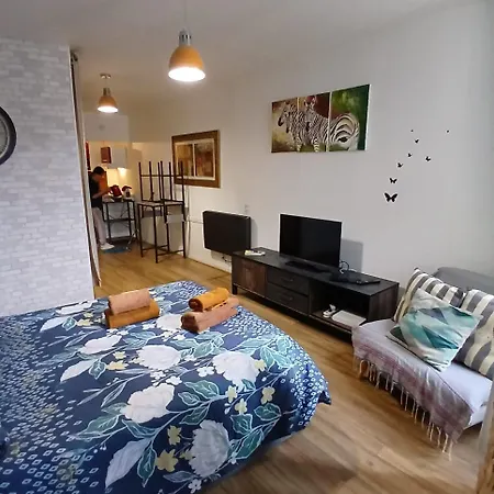 appartement renové , quartier historique du panier , centre-ville-2