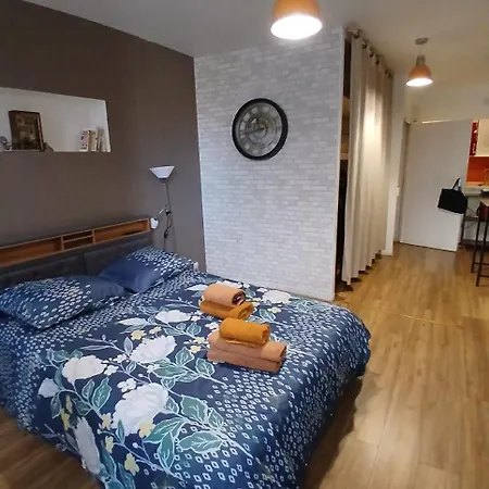 appartement renové , quartier historique du panier , centre-ville-3